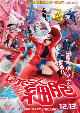 工作細(xì)胞Hataraku Saibou